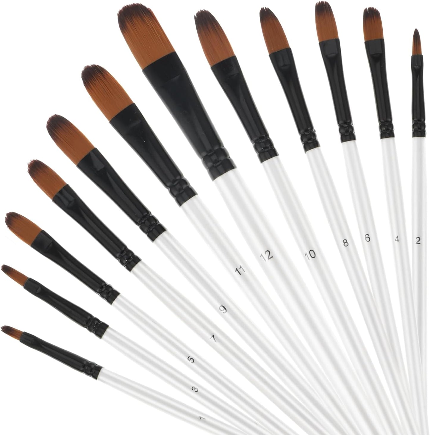 6 Piece Paint Brush Set